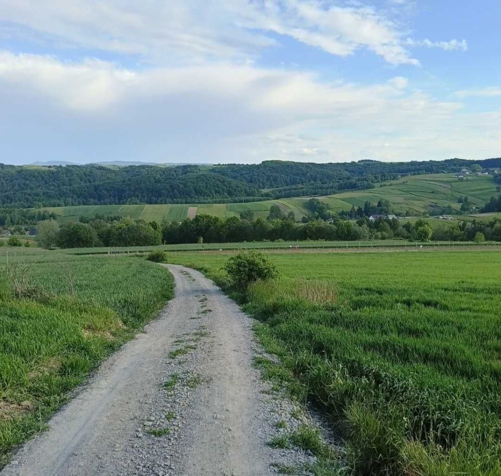Działka rolna Niedźwiada. Zdjęcie 3
