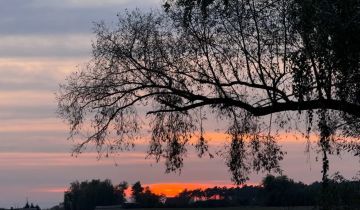 Działka budowlana Zielniczki