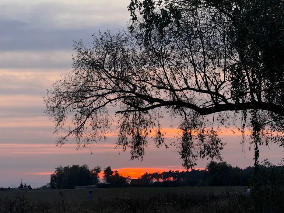 Działka budowlana Zielniczki. Zdjęcie 2