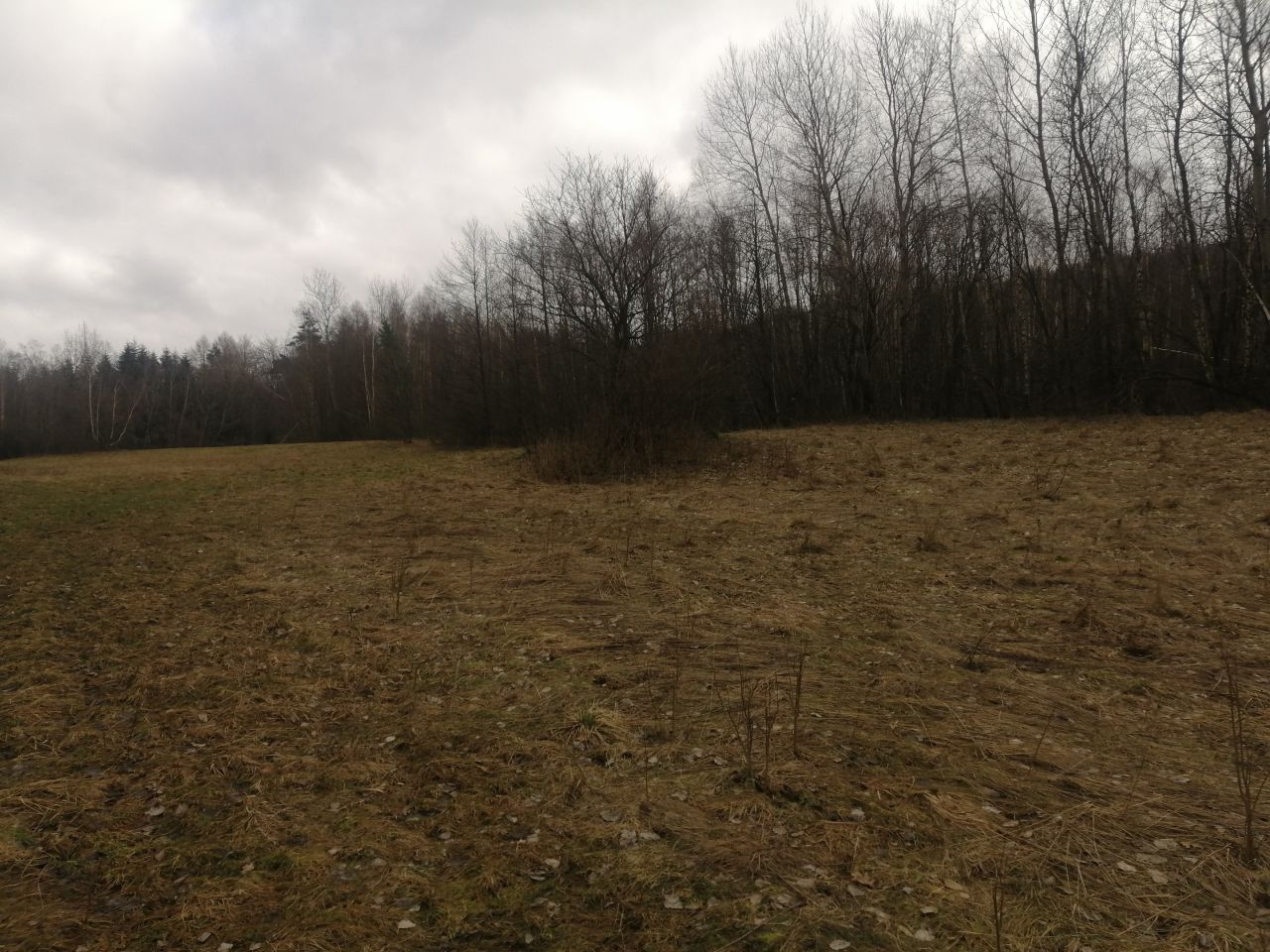 Działka rolna Rozdziele. Zdjęcie 6