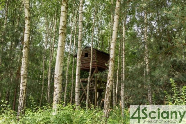 dom wolnostojący, 4 pokoje Kąty Goździejewskie Drugie. Zdjęcie 13