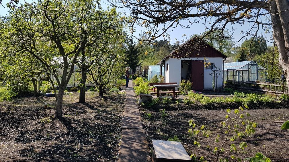 Działka rod Piła, ul. Koszalińska. Zdjęcie 2