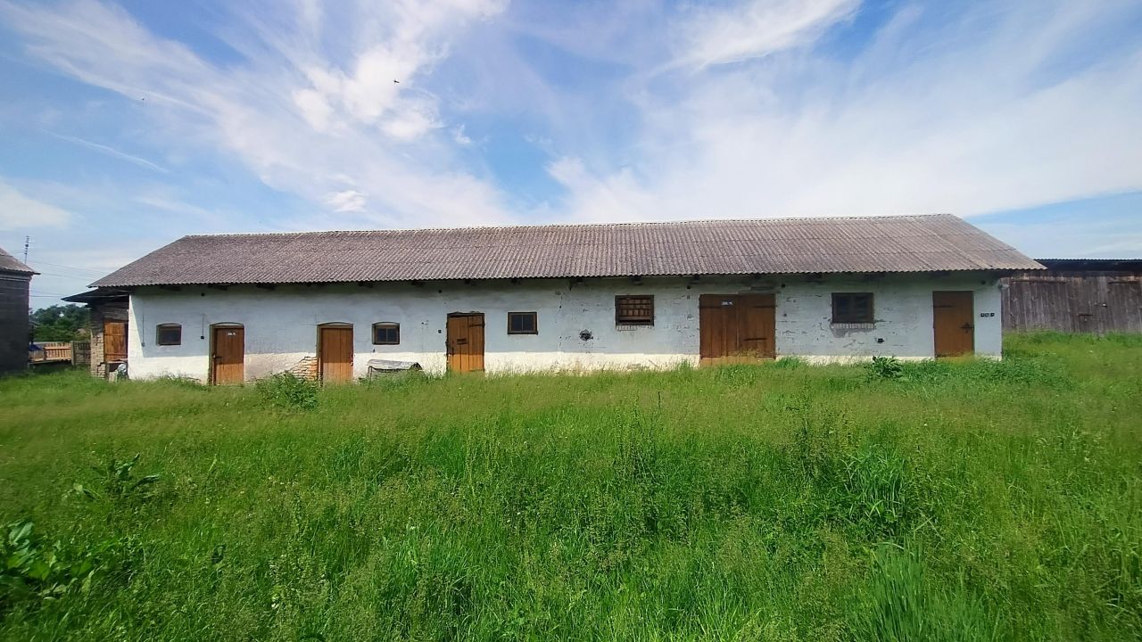 dom wolnostojący, 4 pokoje Warzyn Pierwszy. Zdjęcie 6