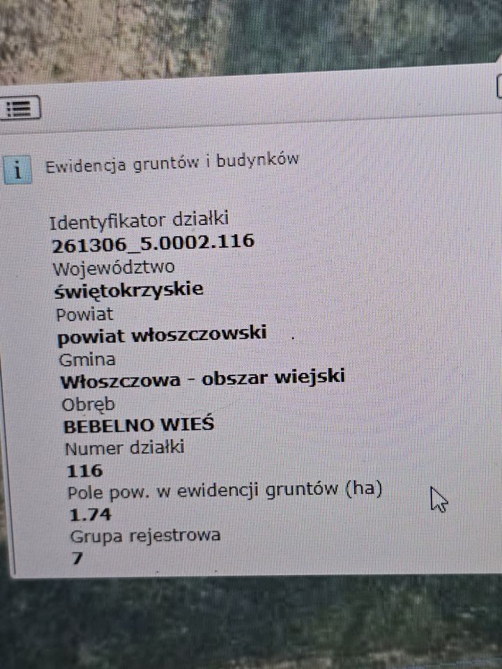 Działka rolna Bebelno-Wieś. Zdjęcie 2
