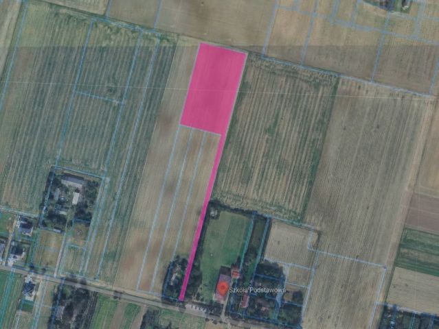 Działka rolna Osmolice Pierwsze. Zdjęcie 1