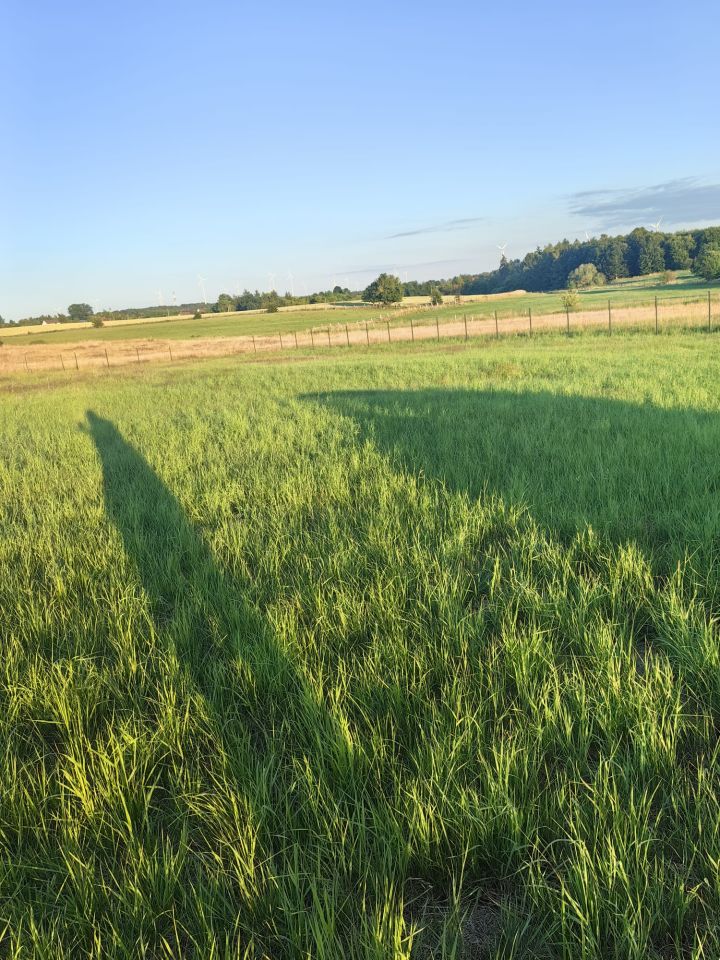 Działka rolna Gniewino, ul. Mostowa. Zdjęcie 6