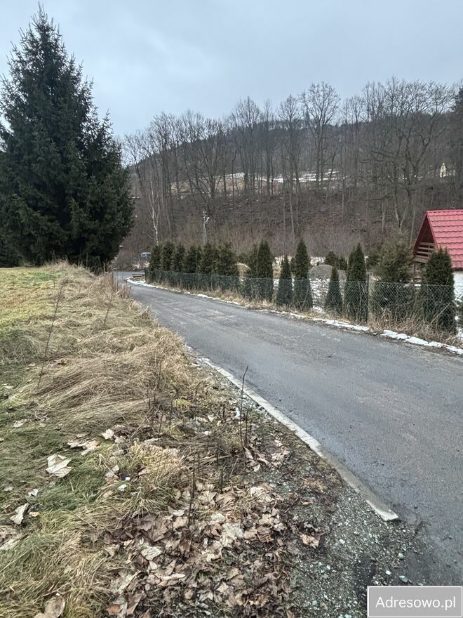 Działka rolno-budowlana Nowa Ruda Słupiec, ul. Radkowska. Zdjęcie 4