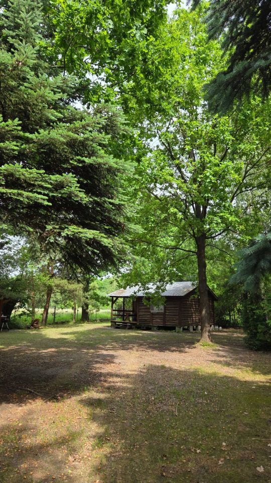 Działka rekreacyjna Grabniak. Zdjęcie 7