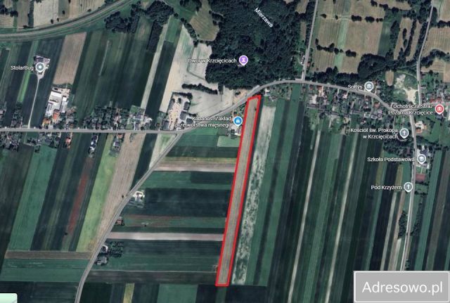 Działka siedliskowa Mierzyn. Zdjęcie 1