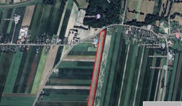 Działka siedliskowa Mierzyn