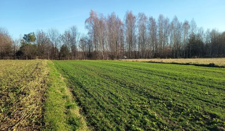 Działka budowlana Ostrów