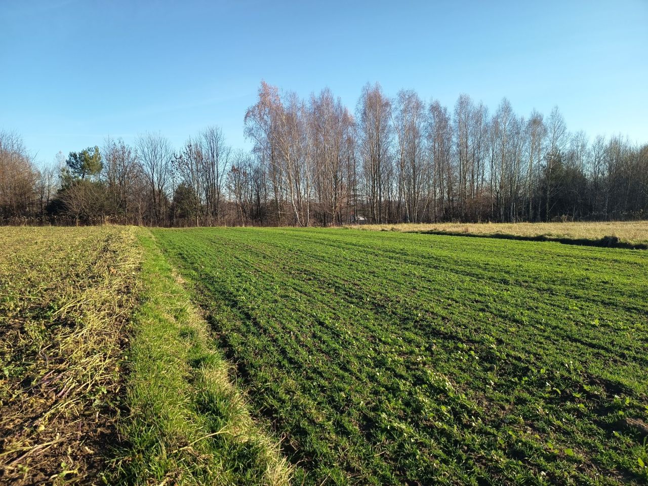 Działka budowlana Ostrów