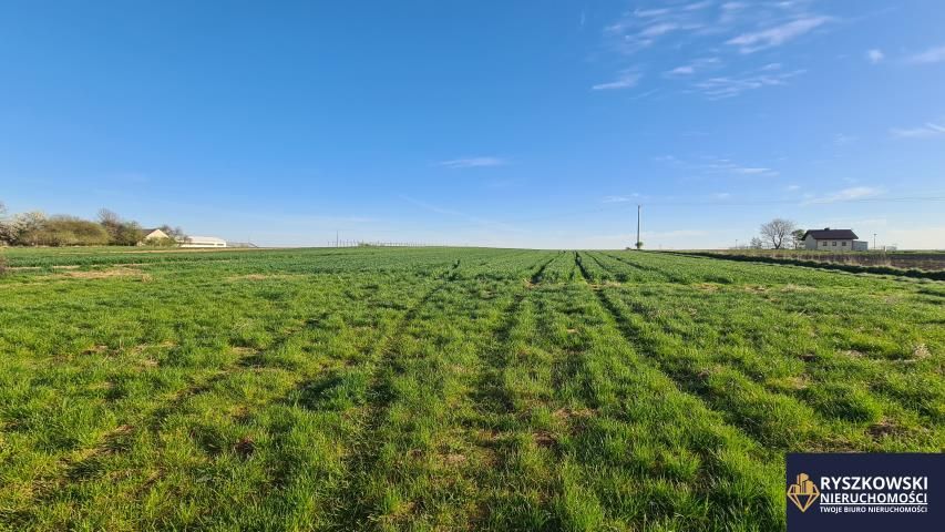 Działka budowlana Sitaniec. Zdjęcie 2