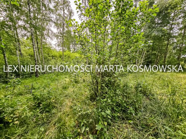 Działka rolna Wejdyki. Zdjęcie 6