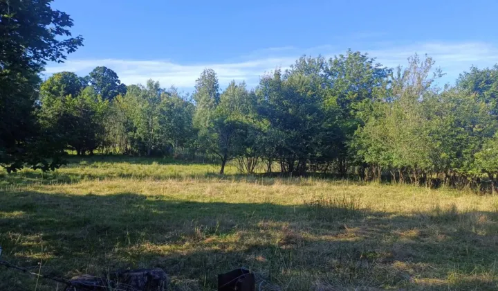 Działka siedliskowa Tynwałd
