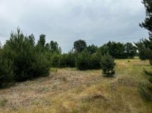 Działka rolna Łąkie, ul. Podstawowa. Zdjęcie 2