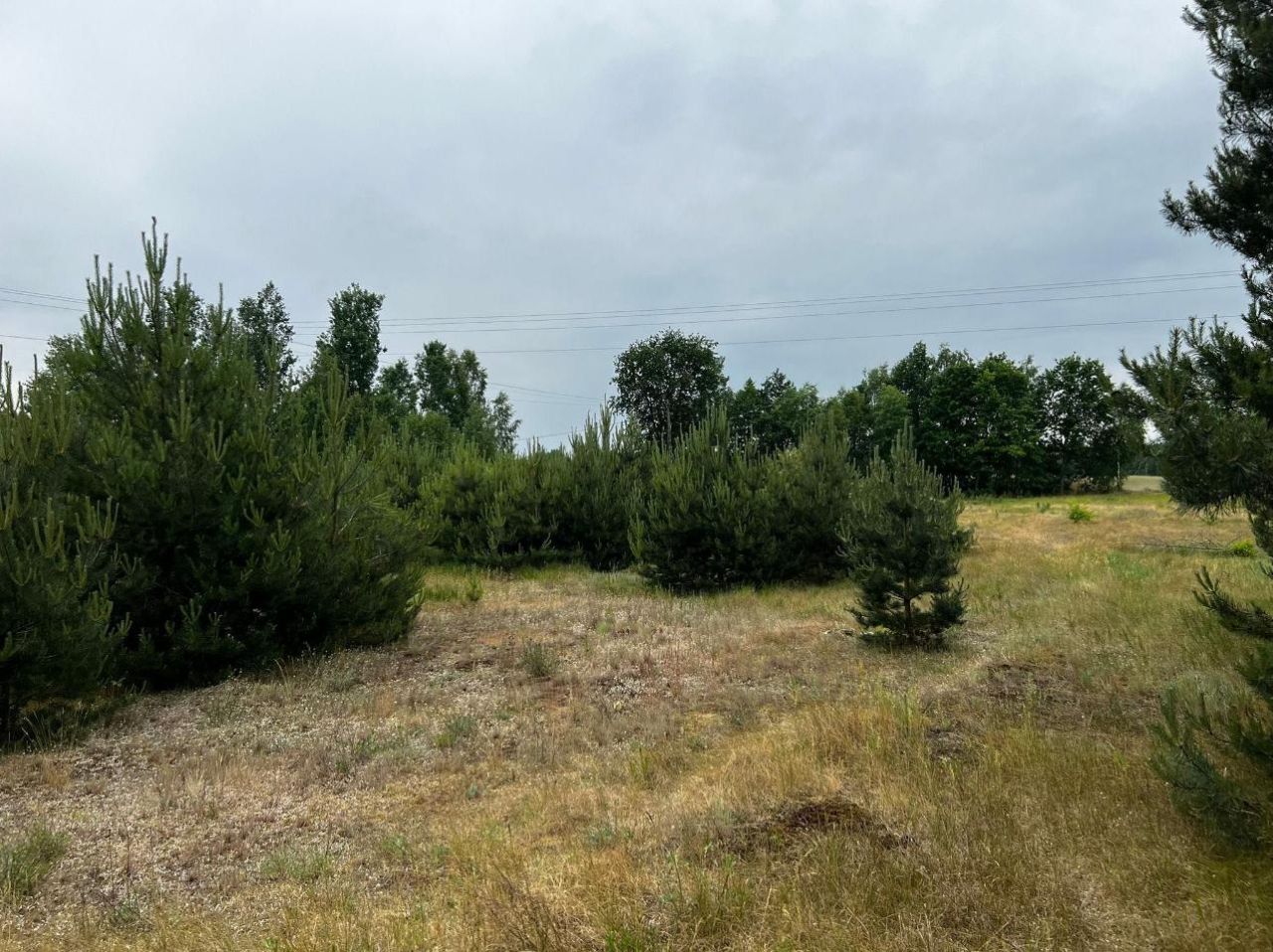 Działka rolna Łąkie, ul. Podstawowa. Zdjęcie 3