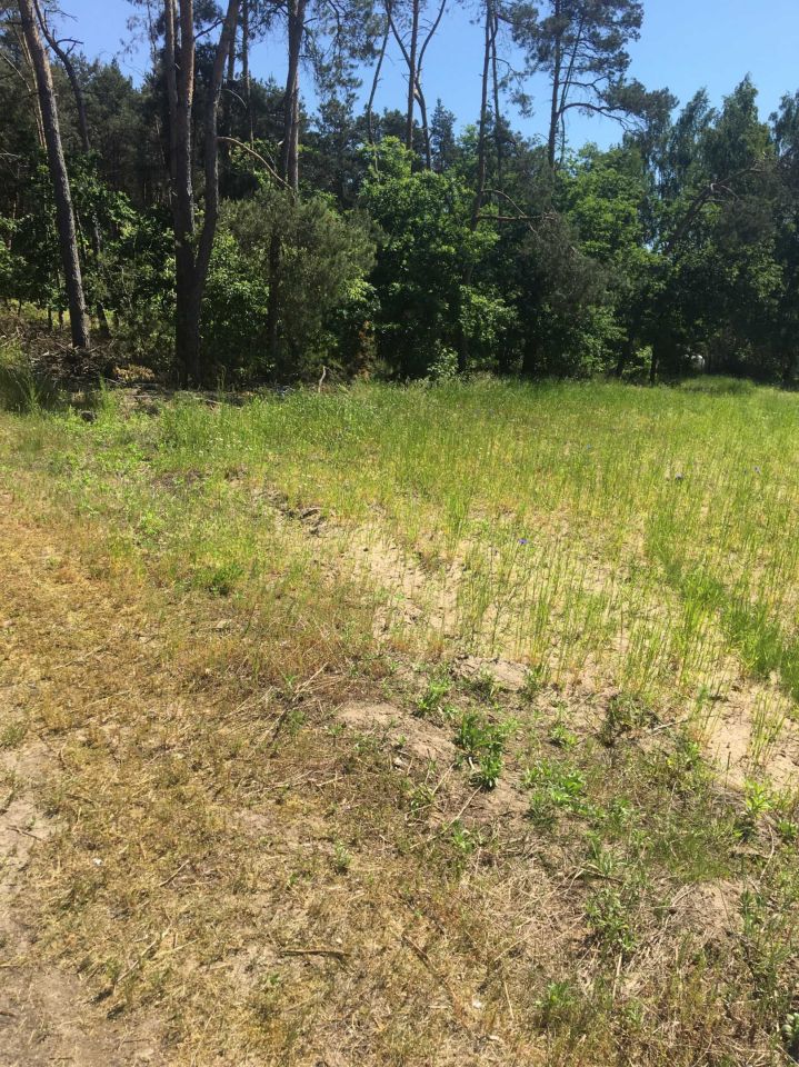 Działka rolno-budowlana Helenka. Zdjęcie 3