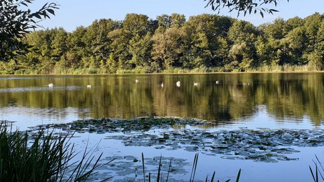 Działka budowlana Łączonek. Zdjęcie 1