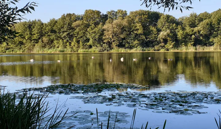 Działka budowlana Łączonek