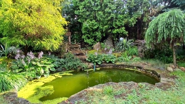 dom wolnostojący, 6 pokoi Zgierz Krzywie. Zdjęcie 12