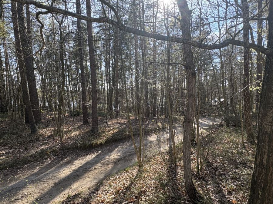 Działka leśna Żukowo. Zdjęcie 6