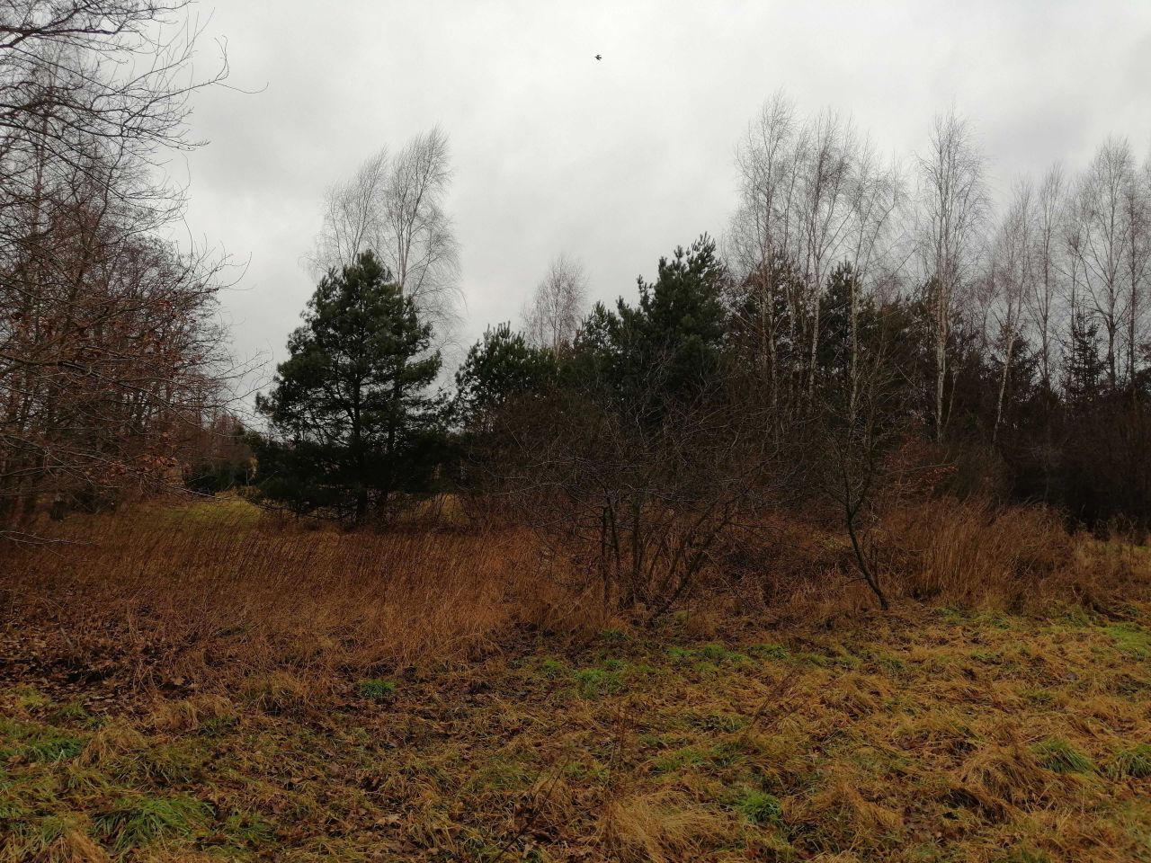 Działka budowlana Jurki. Zdjęcie 5