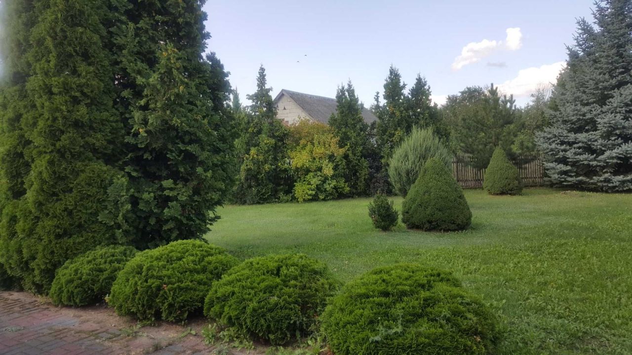 dom wolnostojący Występ. Zdjęcie 7