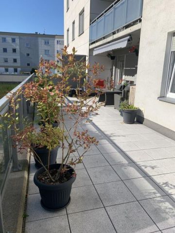 Mieszkanie 3-pokojowe Wrocław Psie Pole, ul. Vasco da Gamy. Zdjęcie 15