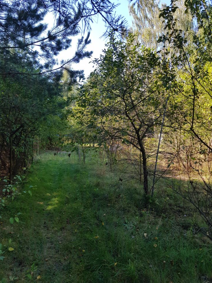 Działka rekreacyjna Łosie, ul. Czyżyka. Zdjęcie 23