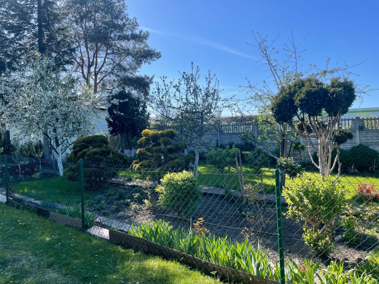 Działka rod Gliwice Śródmieście, ul. Nadrzeczna. Zdjęcie 5