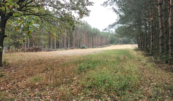 Działka budowlana Gapinin