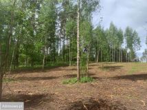 Działka Jęcznik. Zdjęcie 2