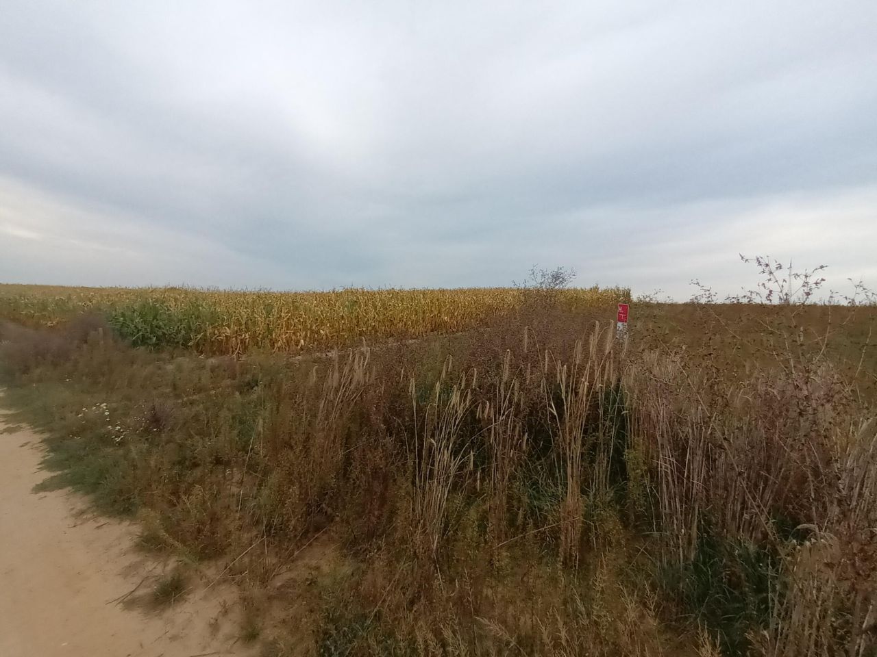 Działka inwestycyjna Strzyżewo Kościelne, os. Osiedle Nad Wełną. Zdjęcie 6