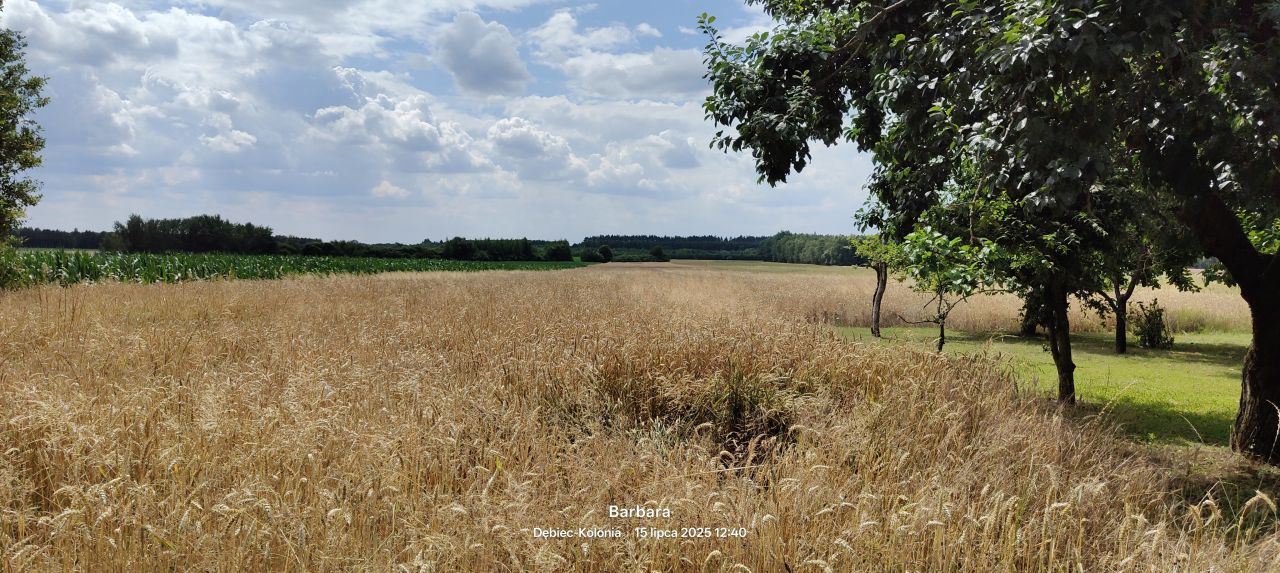 siedlisko, 2 pokoje Dębiec-Kolonia. Zdjęcie 5
