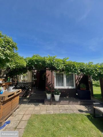 Działka rod Jarocin, ul. Żerkowska. Zdjęcie 1