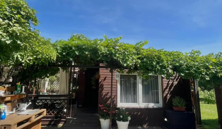 Działka rod Jarocin, ul. Żerkowska