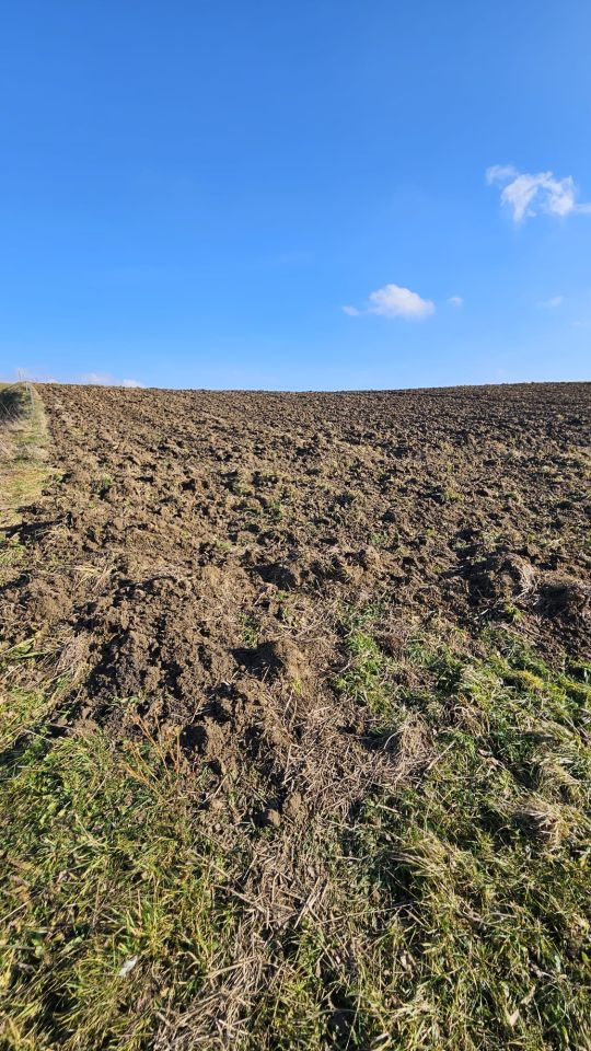 Działka rolno-budowlana Glinik Polski. Zdjęcie 3