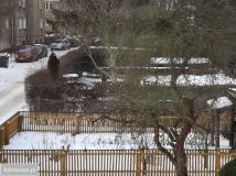 Mieszkanie 2-pokojowe Wałbrzych Biały Kamień. Zdjęcie 3