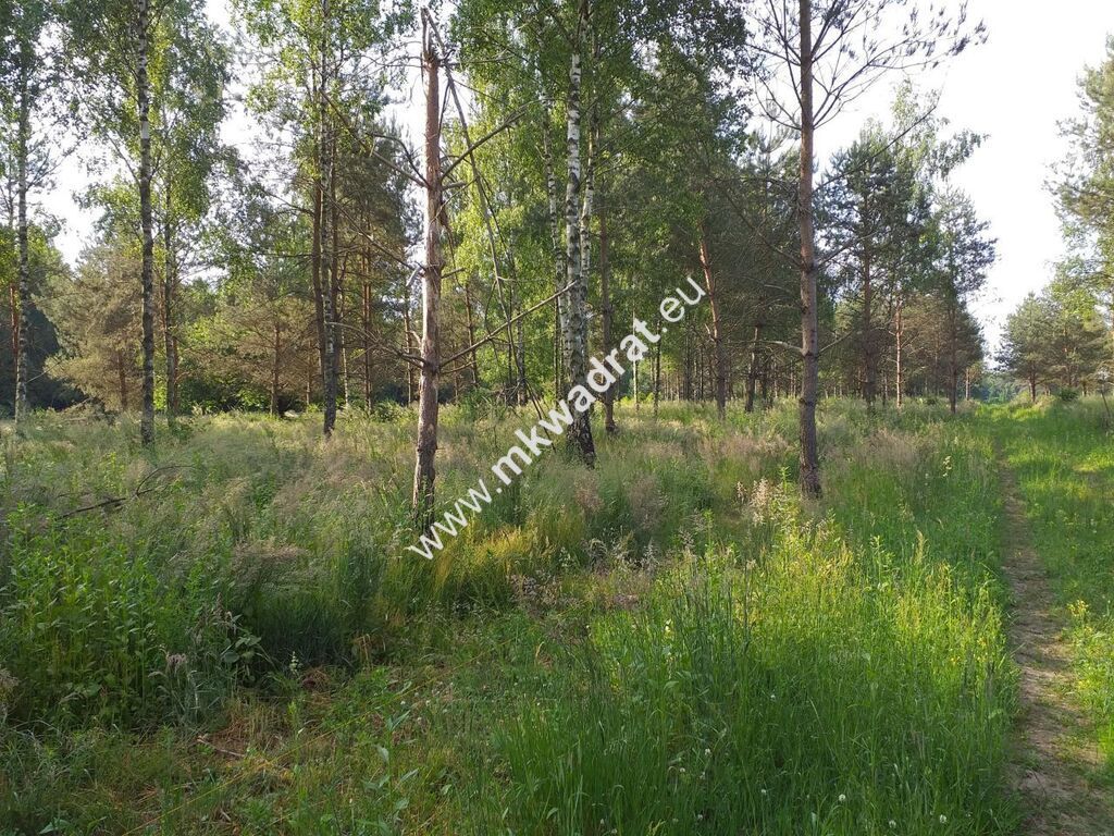 Działka Tłumy. Zdjęcie 7