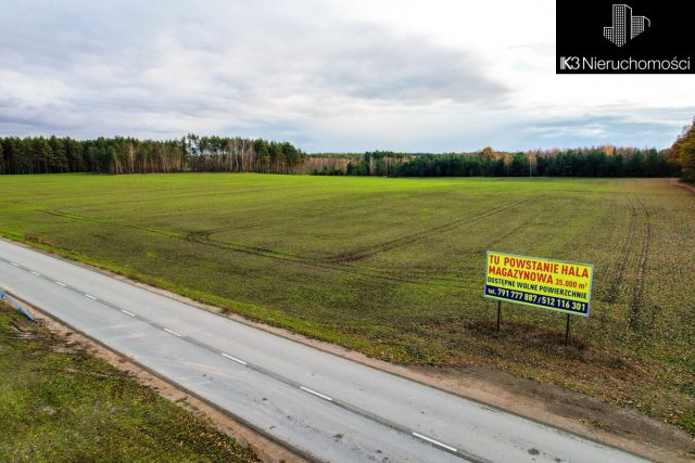 Działka inwestycyjna Stare Groszki. Zdjęcie 21