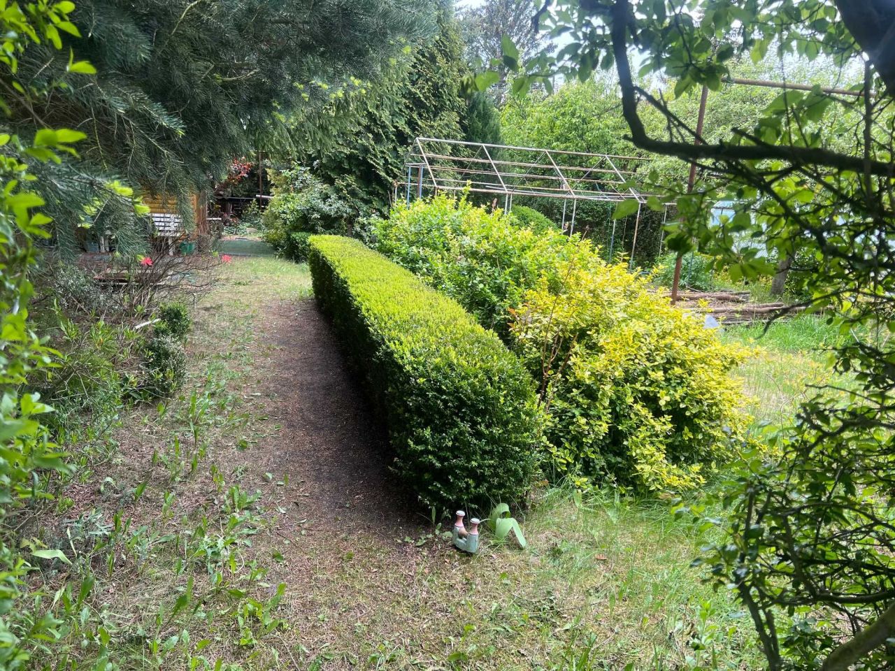 Działka rod Szamoty. Zdjęcie 6