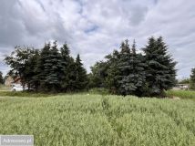 Działka budowlana Stara Góra. Zdjęcie 2