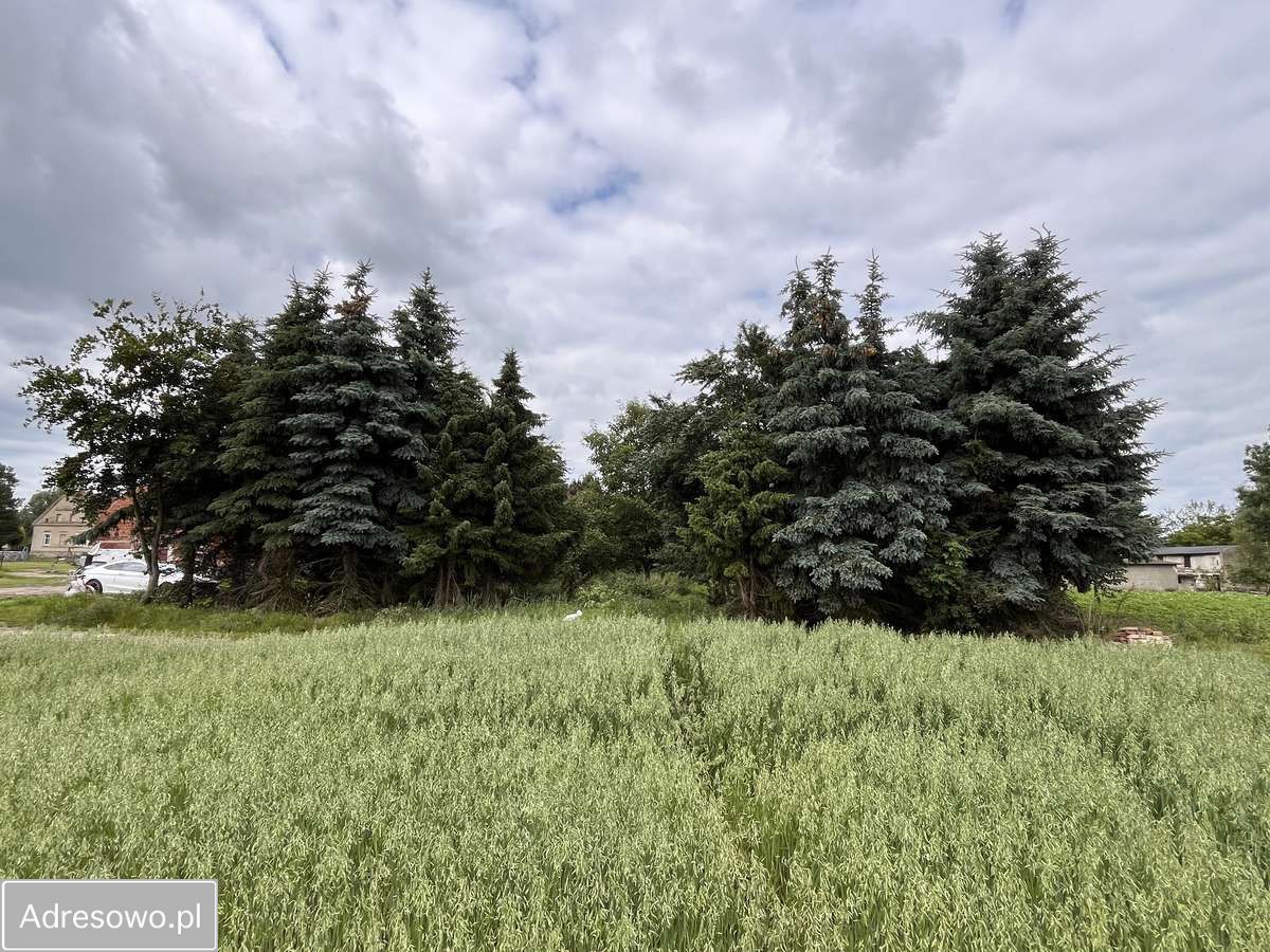 Działka budowlana Stara Góra. Zdjęcie 3