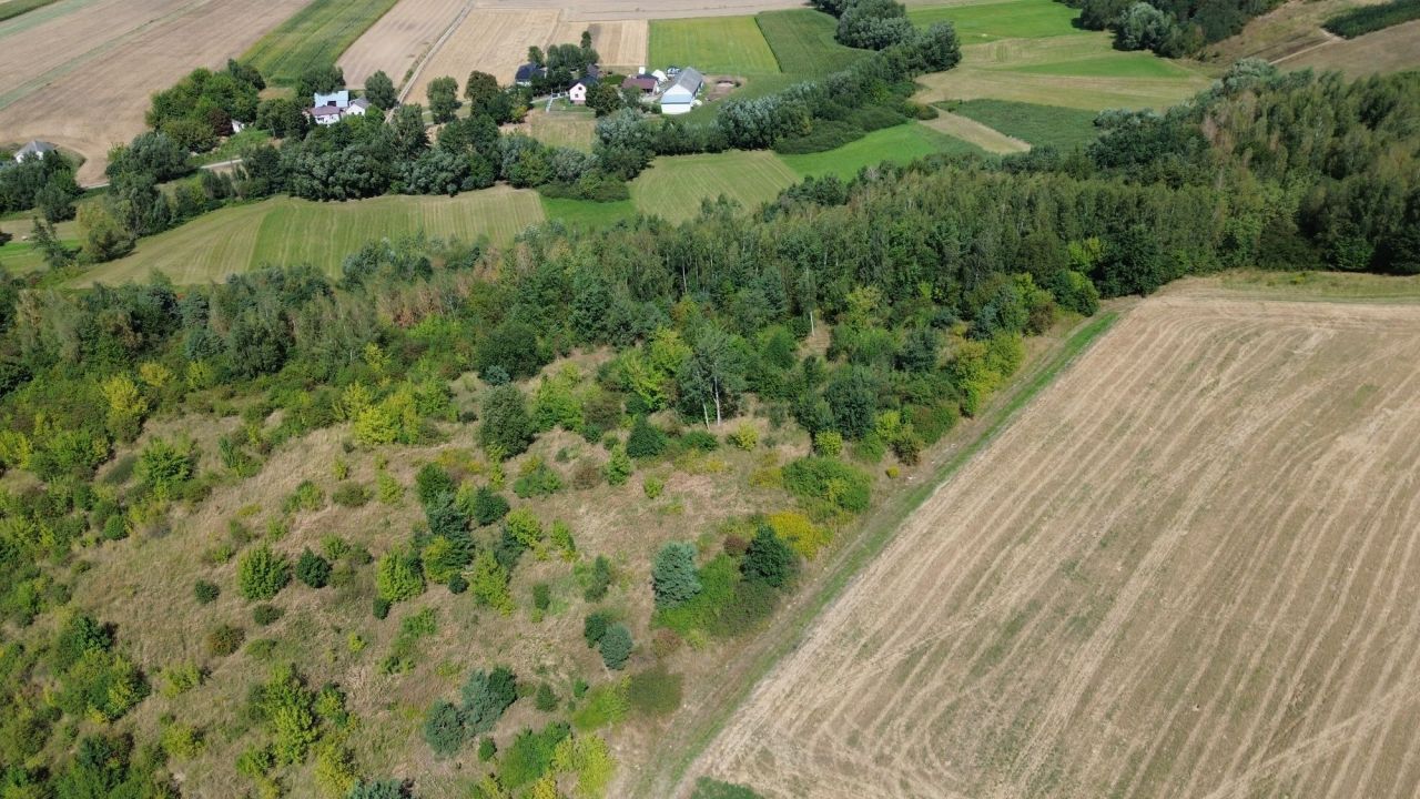 gospodarstwo Łownica. Zdjęcie 6