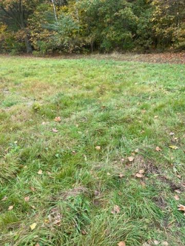 Działka budowlana Owczarnia. Zdjęcie 4