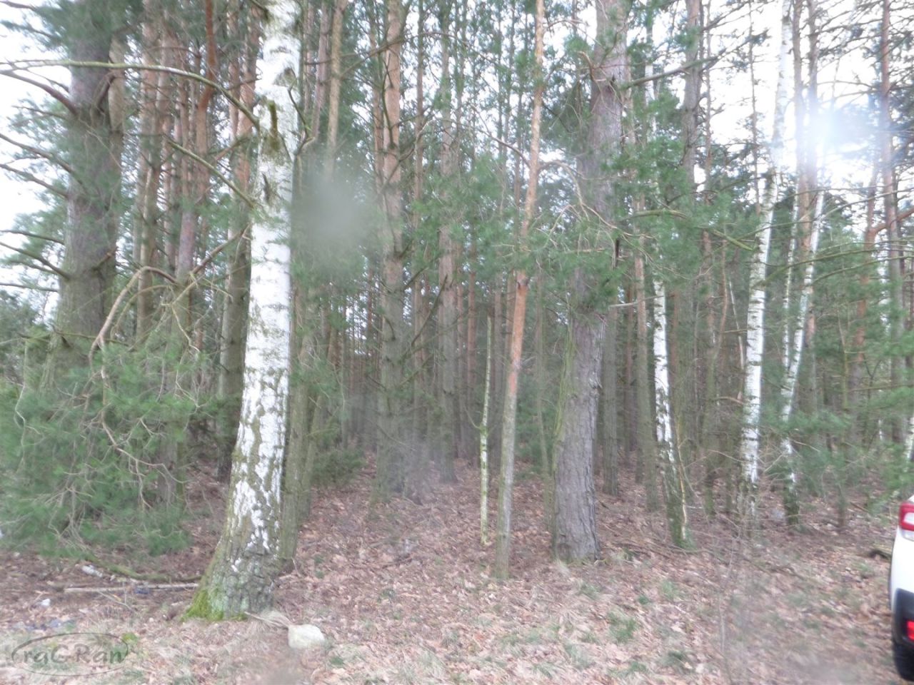 Działka budowlana Józefów. Zdjęcie 5