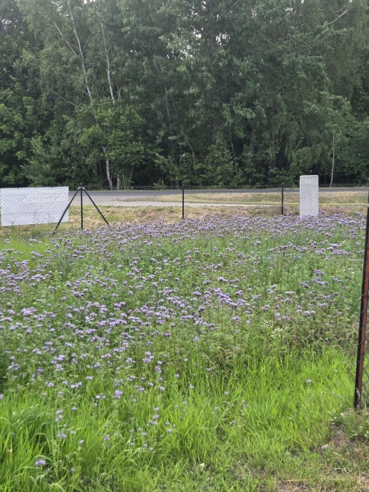 dom wolnostojący, 4 pokoje Małaszewicze, ul. Kolejarzy. Zdjęcie 6