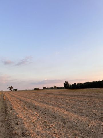 Działka budowlana Stara Wieś. Zdjęcie 1