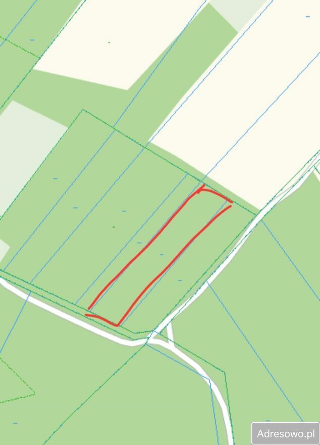 Działka rolna Słup Pierwszy. Zdjęcie 2